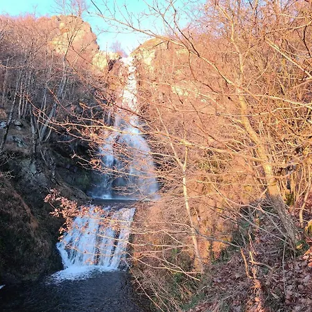 La D'antoine - Mont Lozere * Le Bleymard